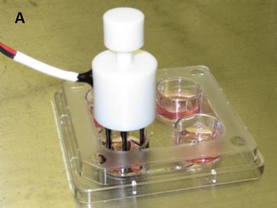 Confirmation of ECM830 Delivered Voltage at 100V